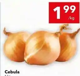 Lewiatan Cebula oferta