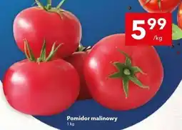 Lewiatan Pomidor malinowy oferta