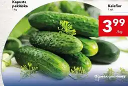 Lewiatan Ogórek gruntowy oferta
