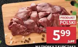 Stokrotka WATRÓBKA Z KURCZAKA oferta
