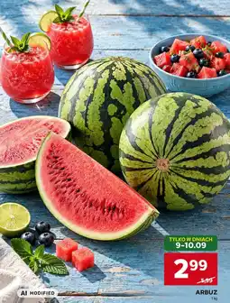 Stokrotka Arbuz oferta