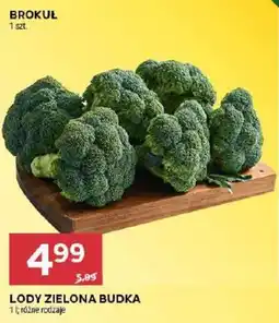 Stokrotka Brokul oferta