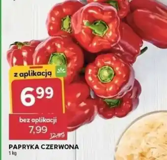 Stokrotka Papryka czerwona oferta