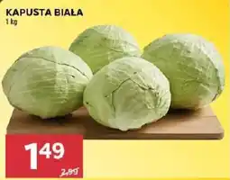 Stokrotka Kapusta Biała oferta