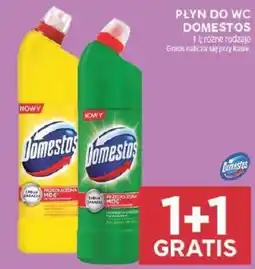 Stokrotka Płyn do WC Domestos oferta