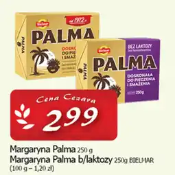 Cezar Delikatesy Margaryna Palma oferta