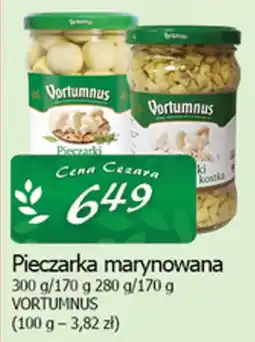 Cezar Delikatesy Pieczarka marynowana VORTUMNUS oferta