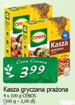 Cezar Delikatesy Kasza gryczana prażona CENOS oferta