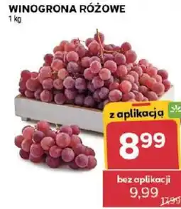 Stokrotka Winogrona Różowe oferta