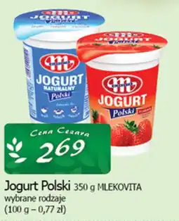 Cezar Delikatesy Jogurt Polski MLEKOVITA oferta