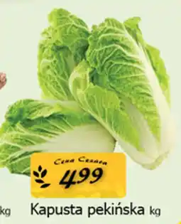 Cezar Delikatesy Kapusta pekińska oferta