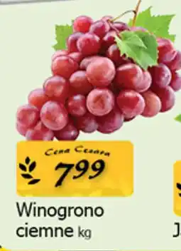 Cezar Delikatesy Winogrono ciemne oferta