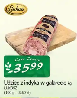 Cezar Delikatesy Udziec z indyka w galarecie LUKOSZ oferta