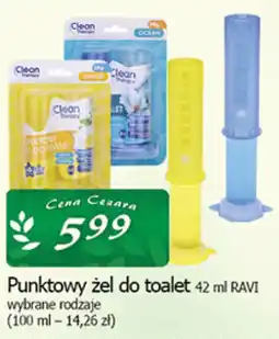 Cezar Delikatesy Punktowy żel do toilet RAVI oferta
