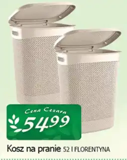 Cezar Delikatesy Kosz na pranie 52 | Florentyna oferta