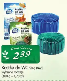 Cezar Delikatesy Kostka do WC RAVI oferta
