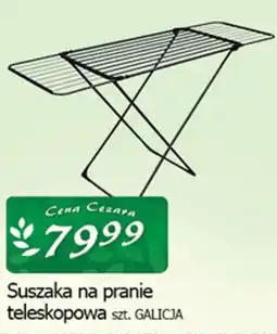 Cezar Delikatesy Suszaka na pranie teleskopowa GALICJA oferta