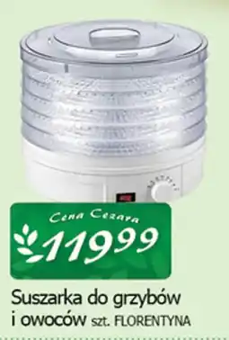 Cezar Delikatesy Suszarka do grzybów i owoców Florentyna oferta