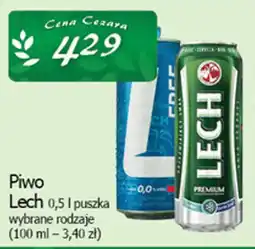Cezar Delikatesy Piwo Lech oferta