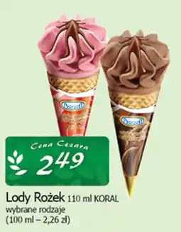 Cezar Delikatesy Lody Rożek KORAL oferta