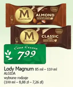 Cezar Delikatesy Lody Magnum oferta