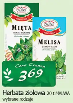 Cezar Delikatesy Herbata ziołowa 20 t MALWA oferta