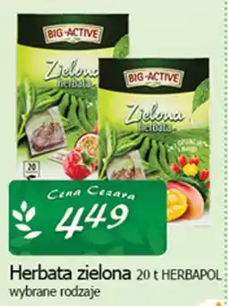 Cezar Delikatesy Herbata zielona HERBAPOL oferta