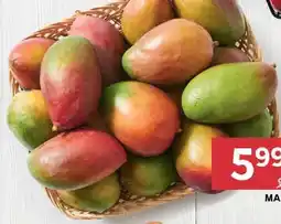 Stokrotka Mango oferta
