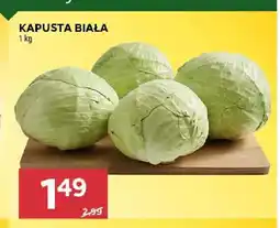 Stokrotka Kapusta biała oferta