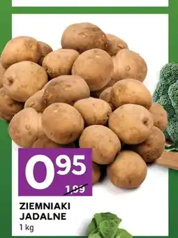 Stokrotka Ziemniaki jadalne oferta