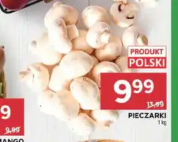 Stokrotka Pieczarki polskie oferta