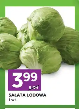 Stokrotka Sałata lodowa oferta