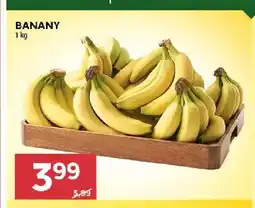 Stokrotka Banany oferta