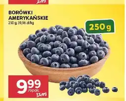 Stokrotka Borówki amerykańskie oferta