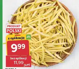 Stokrotka Fasola szparagowa żółta oferta