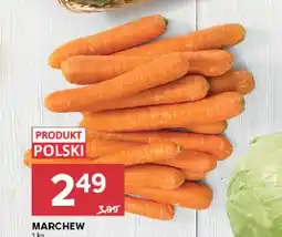 Stokrotka Marchew polska oferta