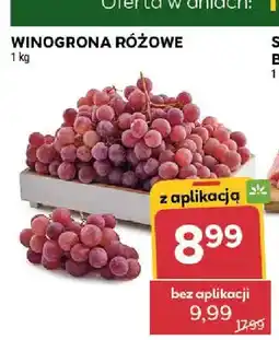 Stokrotka Winogrona różowe oferta