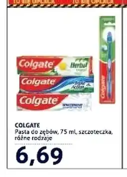 Blue Stop Pasta do zębów Colgate oferta