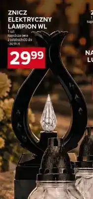 Stokrotka Znicz elektryczny Lampion Wl oferta