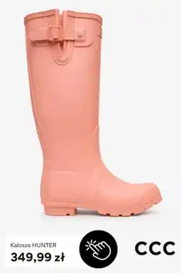 CCC Kalosze Hunter oferta