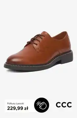CCC Półbuty Lasocki oferta