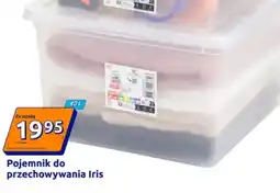 Action Pojemnik do przechowywania IRYS oferta