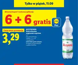Lidl Woda mineralna gazowana magnezowo-wapniowa Muszynianka oferta