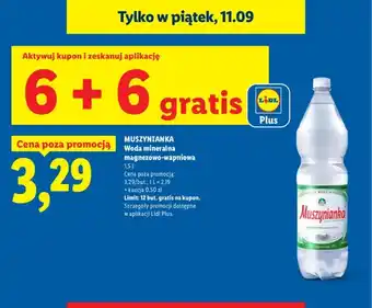 Woda mineralna gazowana magnezowo-wapniowa Muszynianka