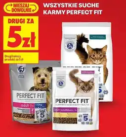 Biedronka Karmy suche Perfect Fit oferta