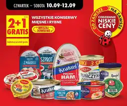 Biedronka Konserwy mięsne i rybne oferta
