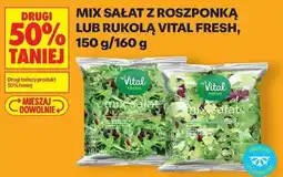 Biedronka Mix sałat z roszponką lub rukolą Vital Fresh oferta