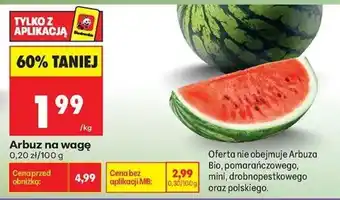 Biedronka Arbuz oferta