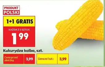 Biedronka Kukurydza kolba oferta