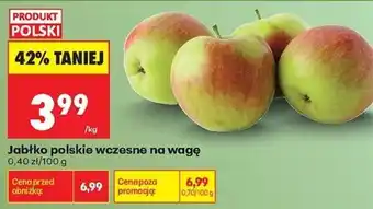 Biedronka Jabłko polskie wczesne oferta